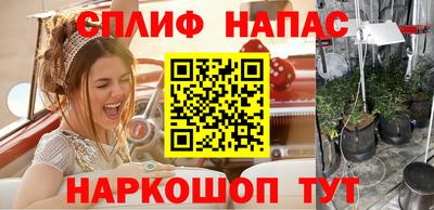 стафф Бузулук