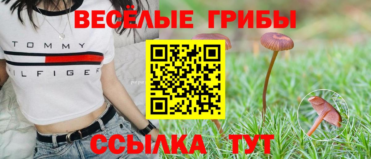 Псилоцибиновые грибы прущие грибы Сунжа
