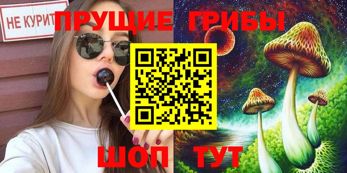 Сунжа  Псилоцибиновые грибы Psilocybine cubensis  Вход с VPN 